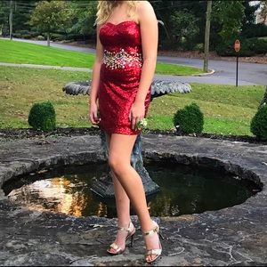 ❄️ Alyce Paris Formal Evening Christmas party gown